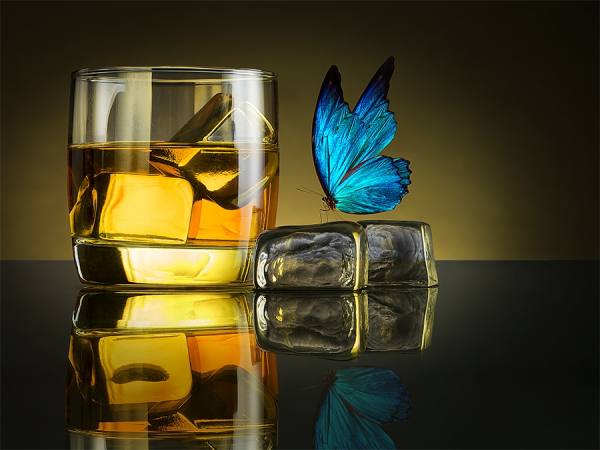 Photograph Jackson Carvalho Butterfly Drink on One Eyeland